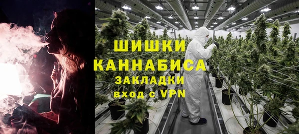 ПСИЛОЦИБИНОВЫЕ ГРИБЫ Гусь-Хрустальный