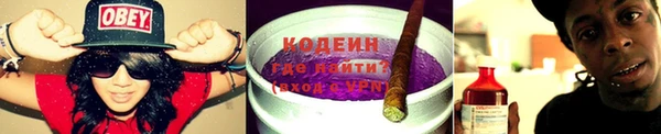 ПСИЛОЦИБИНОВЫЕ ГРИБЫ Гусь-Хрустальный