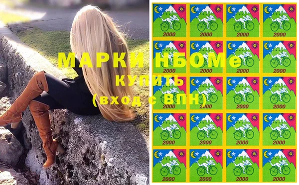 ПСИЛОЦИБИНОВЫЕ ГРИБЫ Гусь-Хрустальный