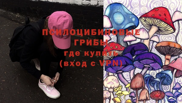 СК Дмитриев