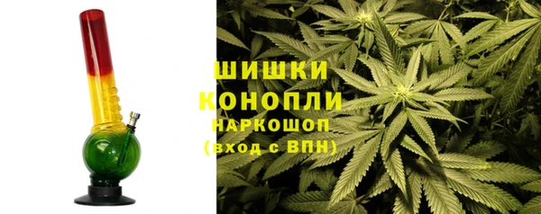 ПСИЛОЦИБИНОВЫЕ ГРИБЫ Гусь-Хрустальный