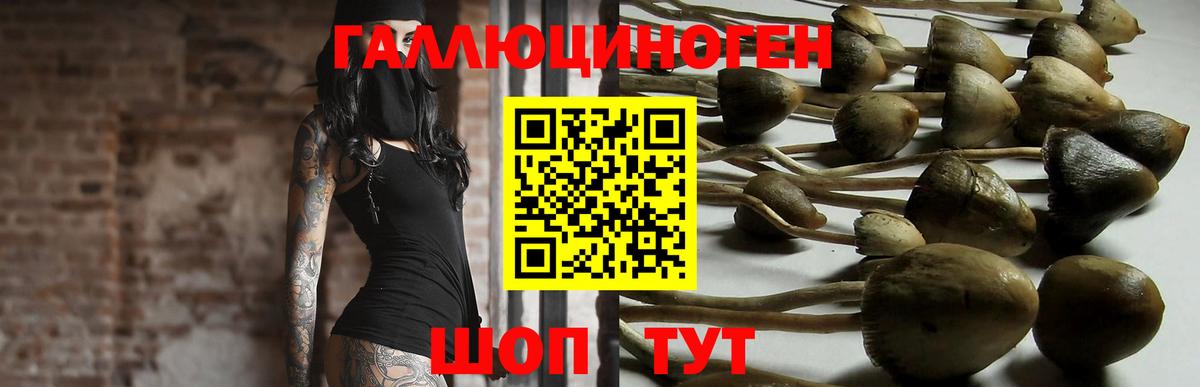 Псилоцибиновые грибы Magic Shrooms Луховицы